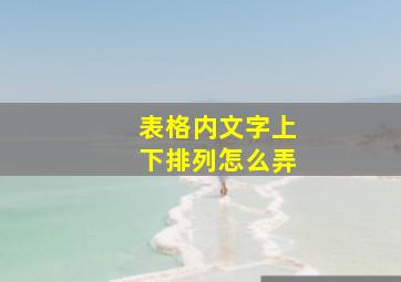 表格内文字上下排列怎么弄