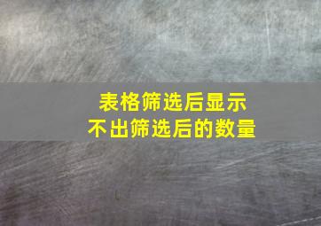 表格筛选后显示不出筛选后的数量