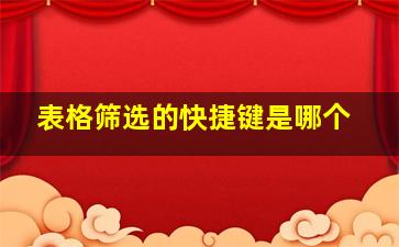 表格筛选的快捷键是哪个