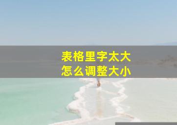 表格里字太大怎么调整大小