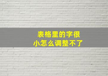 表格里的字很小怎么调整不了