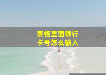 表格里面银行卡号怎么输入