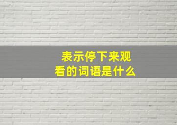 表示停下来观看的词语是什么