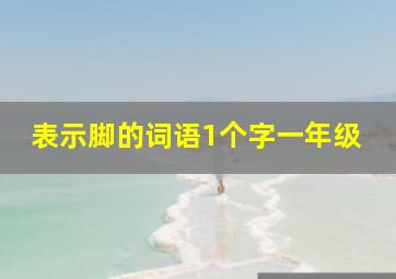 表示脚的词语1个字一年级