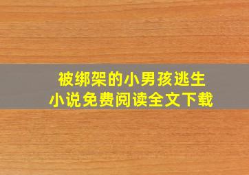 被绑架的小男孩逃生小说免费阅读全文下载