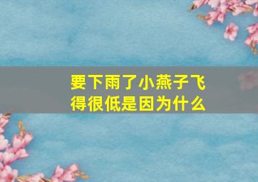 要下雨了小燕子飞得很低是因为什么