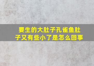 要生的大肚子孔雀鱼肚子又有些小了是怎么回事