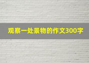 观察一处景物的作文300字