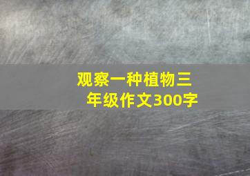 观察一种植物三年级作文300字