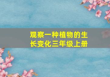 观察一种植物的生长变化三年级上册