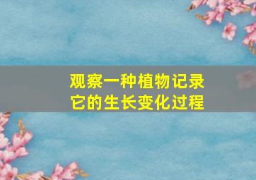 观察一种植物记录它的生长变化过程