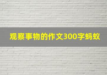 观察事物的作文300字蚂蚁