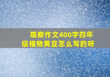 观察作文400字四年级植物黄豆怎么写的呀