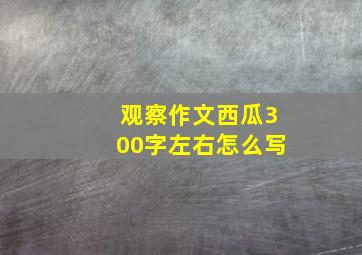 观察作文西瓜300字左右怎么写