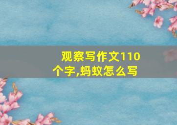 观察写作文110个字,蚂蚁怎么写