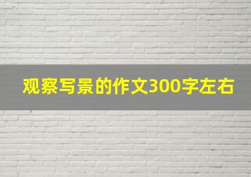 观察写景的作文300字左右