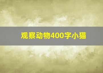 观察动物400字小猫