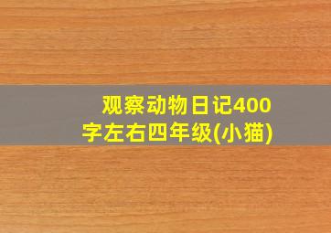 观察动物日记400字左右四年级(小猫)