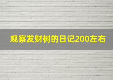 观察发财树的日记200左右