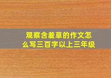 观察含羞草的作文怎么写三百字以上三年级