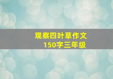 观察四叶草作文150字三年级