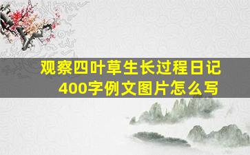 观察四叶草生长过程日记400字例文图片怎么写