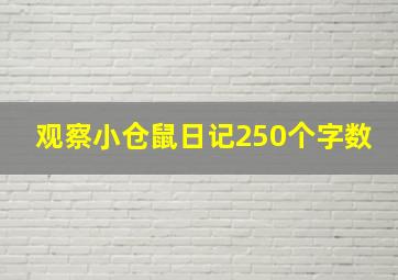 观察小仓鼠日记250个字数