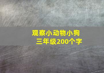 观察小动物小狗三年级200个字