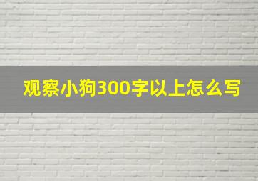 观察小狗300字以上怎么写