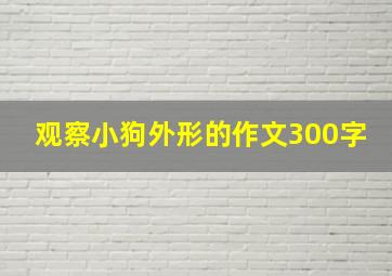 观察小狗外形的作文300字