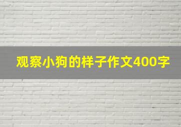 观察小狗的样子作文400字