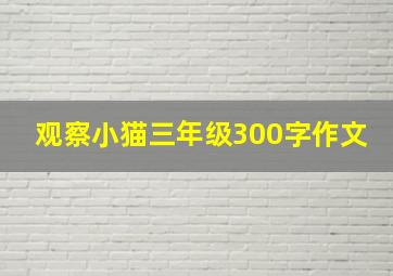 观察小猫三年级300字作文