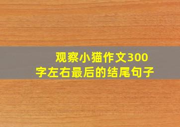 观察小猫作文300字左右最后的结尾句子