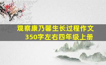 观察康乃馨生长过程作文350字左右四年级上册