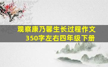 观察康乃馨生长过程作文350字左右四年级下册