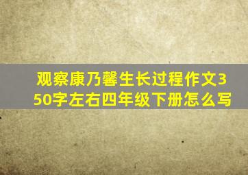 观察康乃馨生长过程作文350字左右四年级下册怎么写