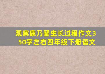 观察康乃馨生长过程作文350字左右四年级下册语文