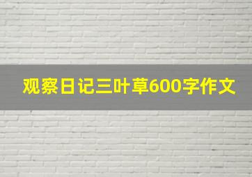 观察日记三叶草600字作文