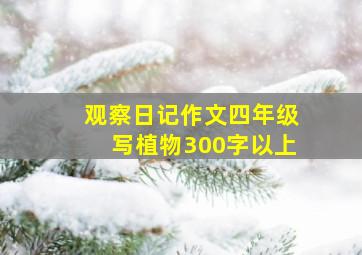 观察日记作文四年级写植物300字以上