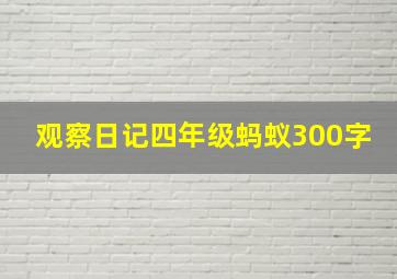 观察日记四年级蚂蚁300字