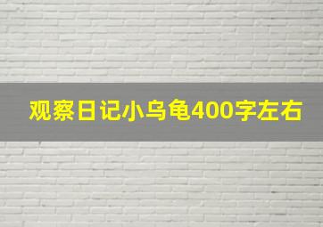 观察日记小乌龟400字左右