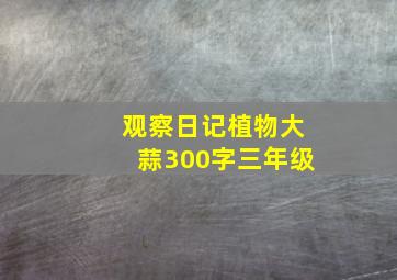 观察日记植物大蒜300字三年级