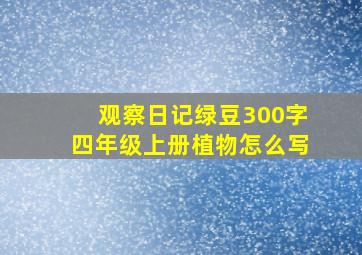 观察日记绿豆300字四年级上册植物怎么写