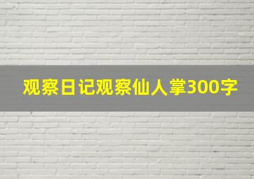 观察日记观察仙人掌300字