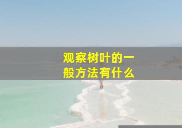 观察树叶的一般方法有什么