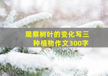 观察树叶的变化写三种植物作文300字