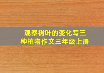 观察树叶的变化写三种植物作文三年级上册