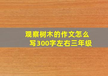 观察树木的作文怎么写300字左右三年级