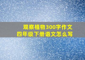 观察植物300字作文四年级下册语文怎么写