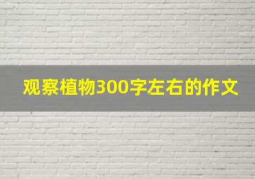 观察植物300字左右的作文